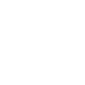 iconCyber-White